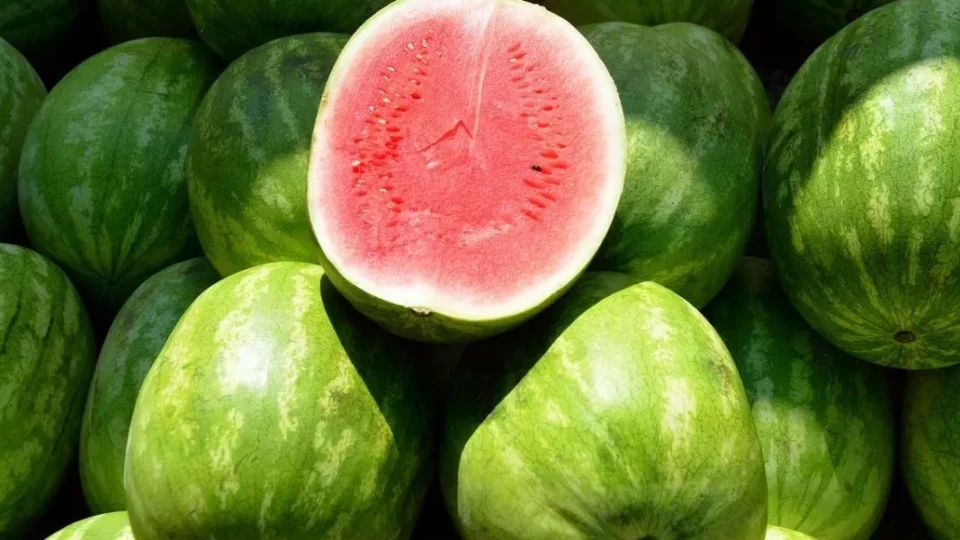 البطيخ الأحمر.. شبح يهدد صحة المغاربة
