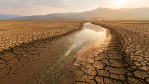 الجفاف وسوء التدبير يعمقان أزمة الماء بزاكورة