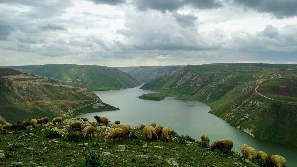 عجز في المخزون المائي للسدود الكبرى