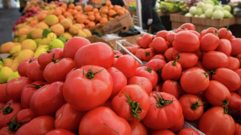 بعد استئناف التصدير نحو موريتانيا.. أسعار الطماطم تقفز من جديد
