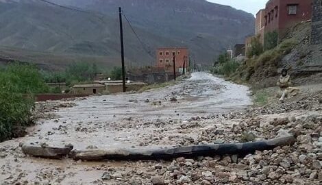 مطالبات بإحصاء أضرار الفلاحين بتنغير.. وخبير: المنطقة “منكوبة فلاحياً”