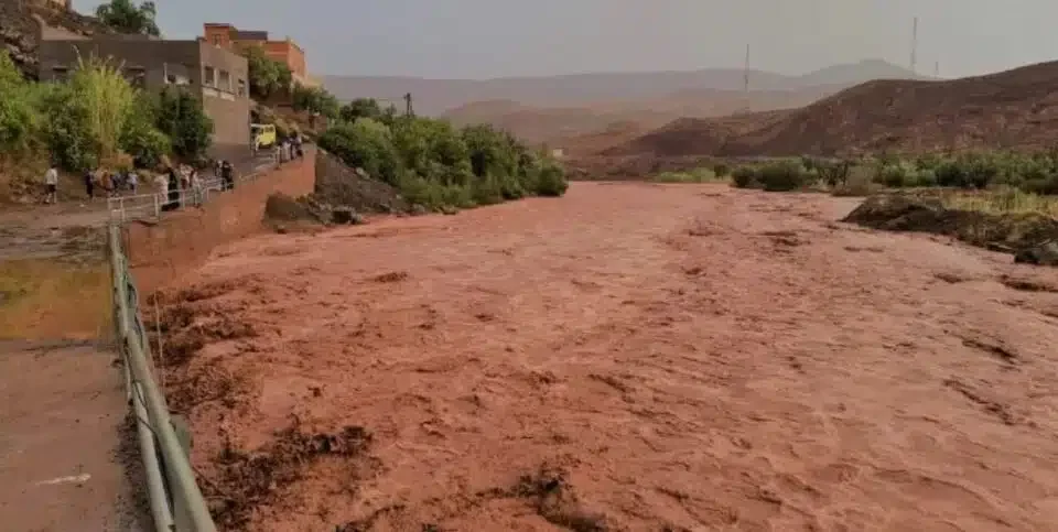 خبير: الأمطار الأخيرة تعيد الحياة إلى واحات الجنوب الشرقي للمملكة