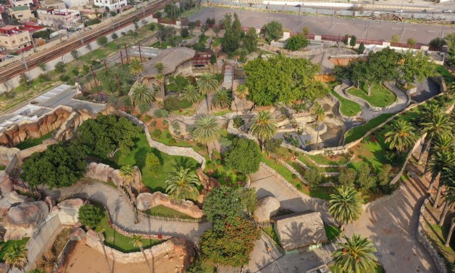 تأجيل جديد لافتتاح حديقة الحيوانات عين السبع.. رئاسة جماعة البيضاء توضح والمعارضة تستنكر