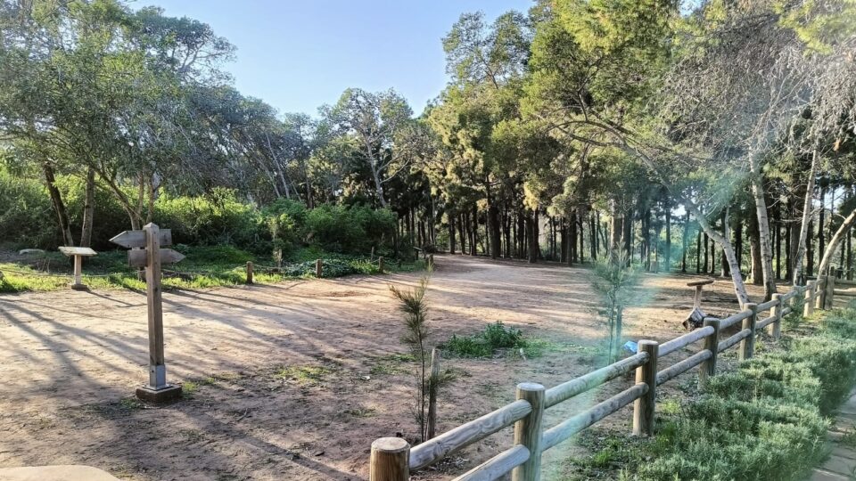 وكالة المياه والغابات تؤكد التزامها لأجل صيانة وتثمين غابة المعمورة