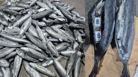 إحباط محاولة للتهريب الدولي للمخدرات وحجز ما يناهز 4 أطنان من مخدر الشيرا