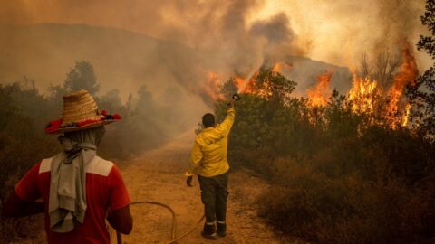 حرائق تازة: النيران تلتهم مصادر رزق ساكنة مغراوة