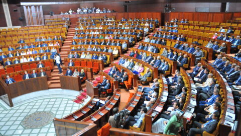 مجلس النواب ينادي على الشكوري لشغل مقعد مبدع