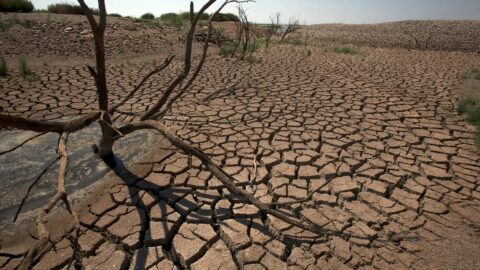 خبير مناخي: أزمة الجفاف بالمغرب تدبيرية وليست خطأ من السماء