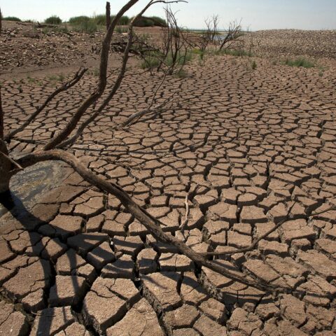 في ظل استمرار الجفاف.. خبير بيئي يدعو لاستراتيجية تكيف عاجلة