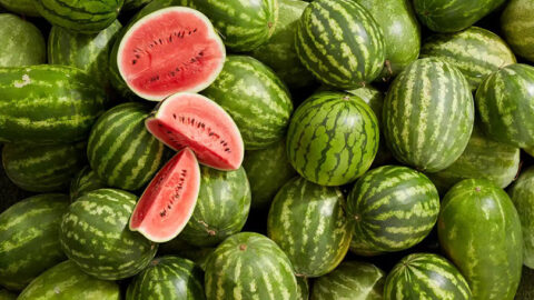 مع حلول موسم الصيف.. البطيخ الأحمر يسجل تراجعا في الإنتاج والجودة