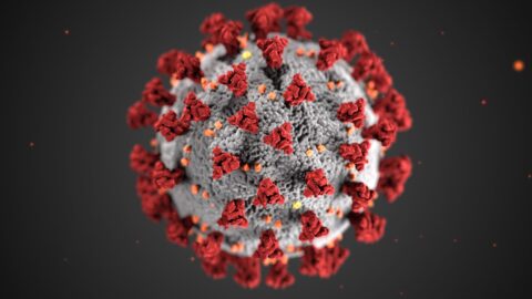 19 حالة إصابة جديدة بفيروس كورونا