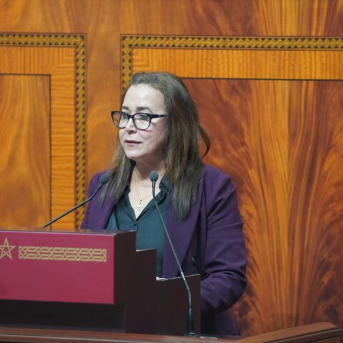 التامني تسائل لفتيت حول “اختلالات” الخدمات الرقمية المرتبطة بالمسار الانتخابي