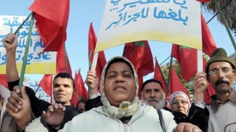 الشرفاوي: غياب الإجماع حال دون التقصي في طرد مغاربة من الجزائر
