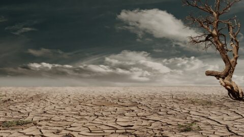 خبير بيئي:”الصرامة شرط لإنجاح مخطط مواجهة الجفاف”