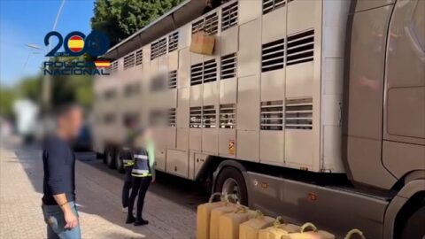 نقل شحنة مخدرات لإسبانيا على متن شاحنة حيوانات