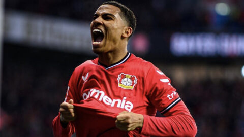 أسود العالم يواصلون التألق مع أنديتهم