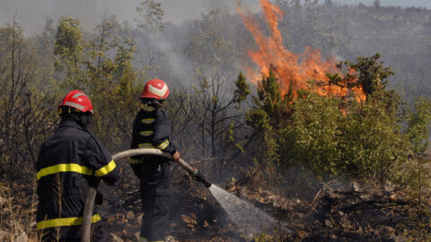 الوكالة الوطنية للمياه والغابات ترصد خطورة قصوى لاندلاع حرائق الغابات