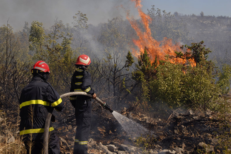 الوكالة الوطنية للمياه والغابات ترصد خطورة قصوى لاندلاع حرائق الغابات