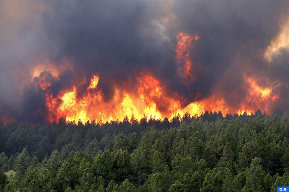 ارتفاع حرارة الأرض يضاعف حرائق الغابات