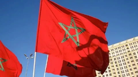 انتخاب المغرب في اللجنة المعنية بحقوق ذوي الإعافة