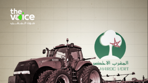 خبير: تقييم “المغرب الأخضر” يتطلب جهة مستقلة غير اللجنة البرلمانية