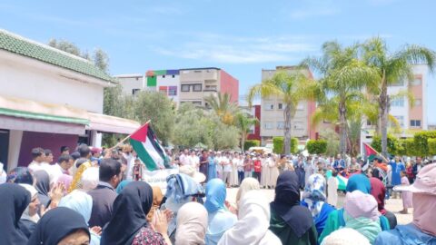 تنظيم أكثر من 100 مظاهرة في عشرات المدن عبر المملكة تضامنا مع الفلسطينيين
