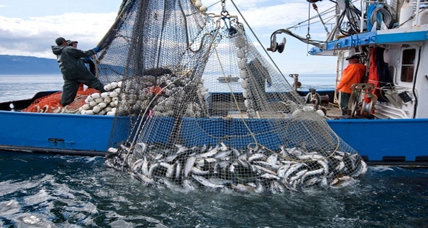 المغرب يرفع صادراته من الأسماك نحو إسبانيا ب40 بالمائة