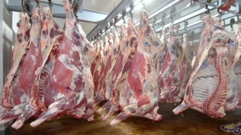 الدار البيضاء تضع المجازر الحضرية للمدينة رهن إشارة الساكنة