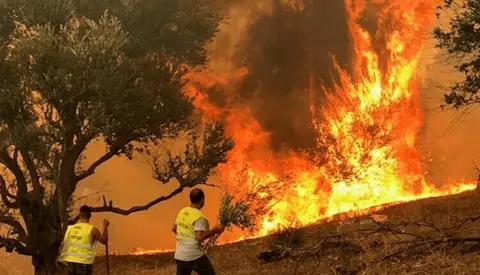 المغرب يستعين بالذكاء الاصطناعي للحد من حرائق الغابات
