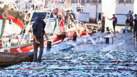 انخفاض الكميات المفرغة من منتجات الصيد البحري في مهدية