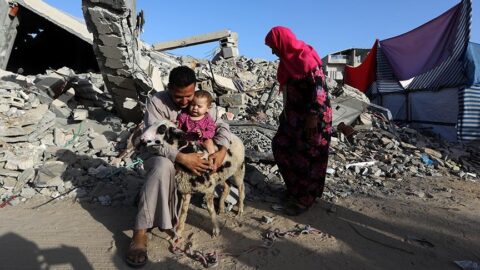 الأمم المتحدة: الفلسطينيون يعيشون ظروفا لا تطاق