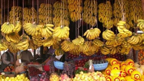 مع حلول موسم الصيف.. ما الذي أوصل سعر الموز إلى 20 درهم؟