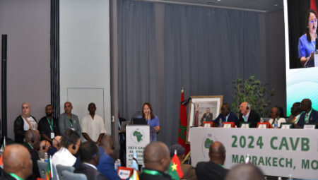 انعقاد المؤتمر الانتخابي للاتحاد الإفريقي للكرة الطائرة بمراكش