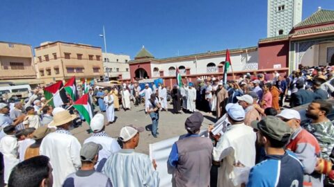 للأسبوع 53.. 100 مظاهرة في 56 مدينة تضامنا مع فلسطين ولبنان