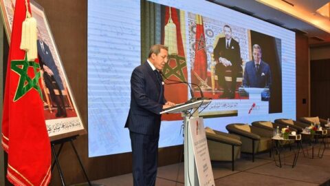 هلال: الدبلوماسية الملكية دبلوماسية تعددية بامتياز بإشعاع دولي “تُحسد عليه”