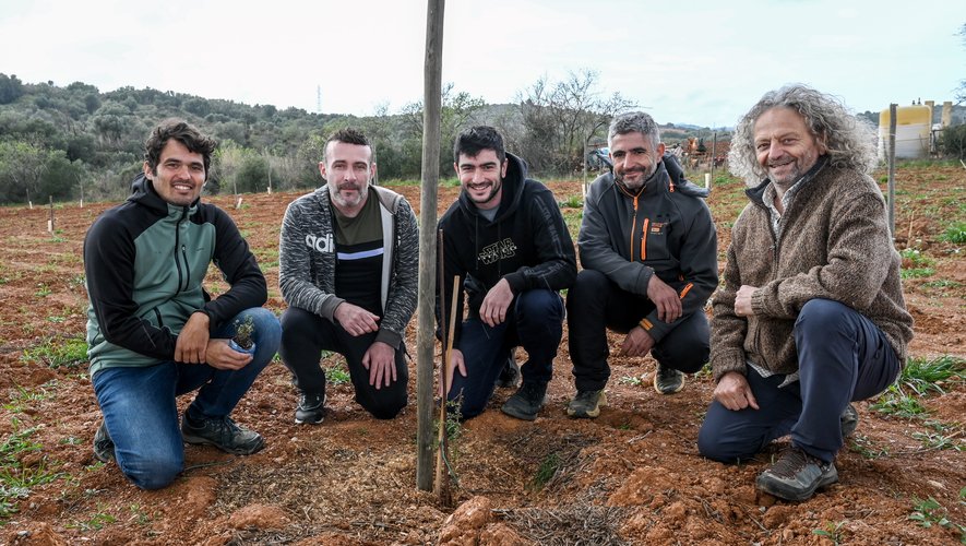 لمواجهة الجفاف.. شجرة “الأركان” المغربية تزهر في جبال البرانس الفرنسية