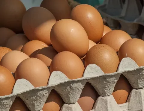 حماة المستهلك يدعون لتشديد المراقبة على واردات البيض والدواجن بسبب مخاوف السالمونيلا