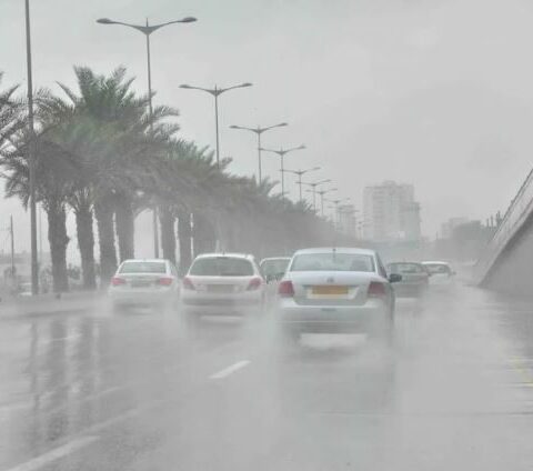 نشرة إنذارية.. موجة حر وزخات رعدية مصحوبة بتساقط البرد بعدد من مناطق المملكة
