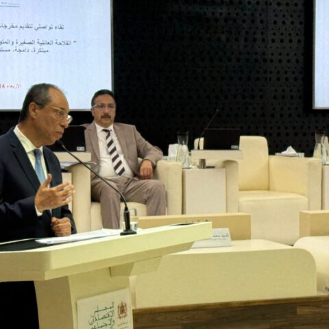 المجلس الاقتصادي والاجتماعي يدعو لتبني استراتيجية تقوم على استثمار البحث العلمي في التنمية