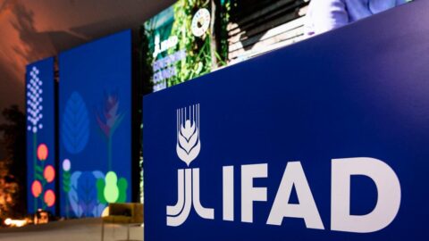 الأمن الغذائي في المناطق القروية.. “إيفاد” يصدر سندا مستداما بقيمة 150 مليون دولار لبنك المغرب