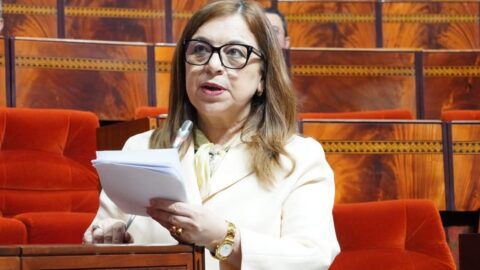 ابن يحيى: إحداث 82 لجنة إقليمية تعمل على حماية الطفولة.. وأزيد من 1400 مستفيد