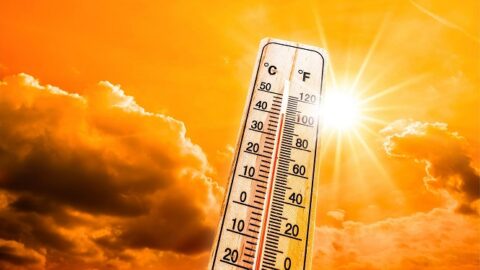 درجات الحرارة تصل إلى 50.4 في الإمارات