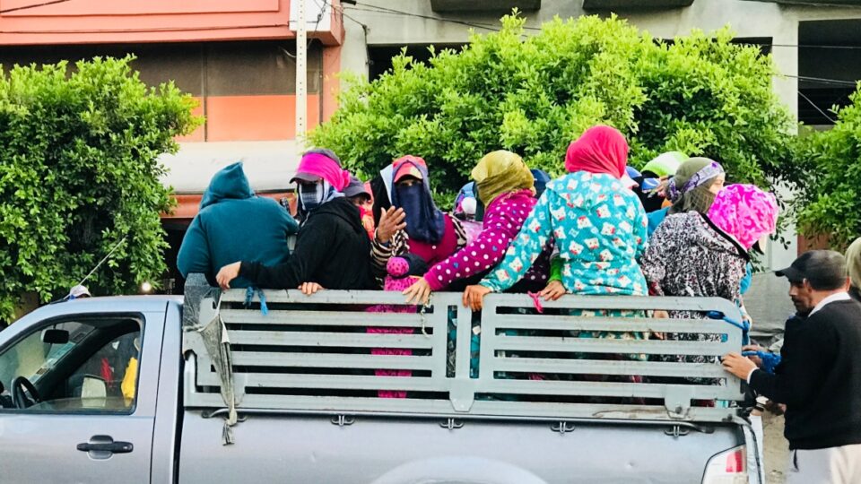 بعد فاجعة سبت الكردان.. مطالب حقوقية بوقف استرخاص أرواح العاملات الزراعيات