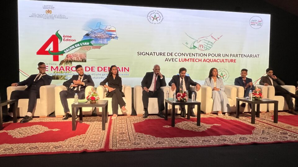 الطبوغرافيا تستعد للمونديال.. حين يستشرف الطلبة معالم التنمية