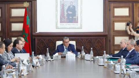 أخنوش: رصد قرابة 700 مليون درهم من ميزانية الدولة لدعم مربي الماشية