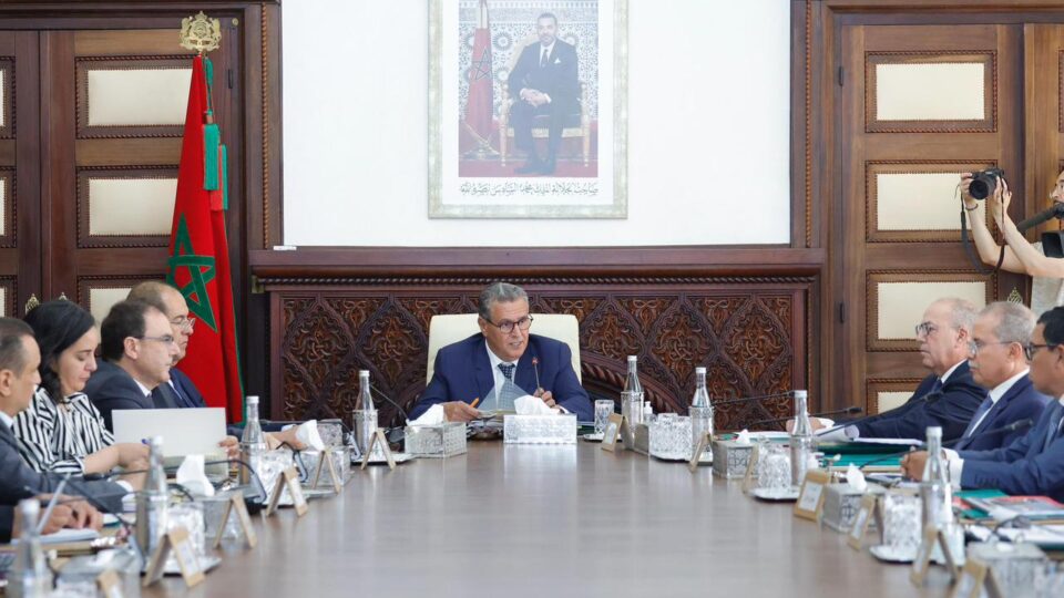 أخنوش: رصد قرابة 700 مليون درهم من ميزانية الدولة لدعم مربي الماشية
