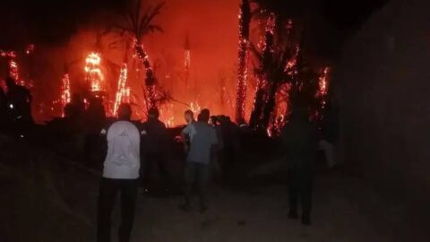 النيران تلتهم واحة أكادير الهناء بإقليم طاطا