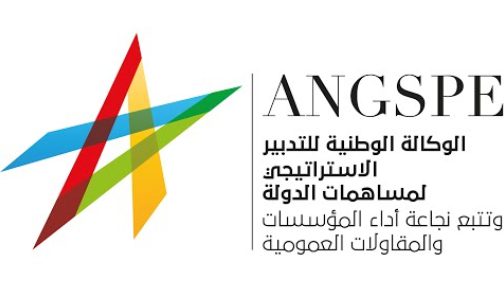 وكالة التدبير الاستراتيجي تصدر أول تقرير عن الدولة المساهمة