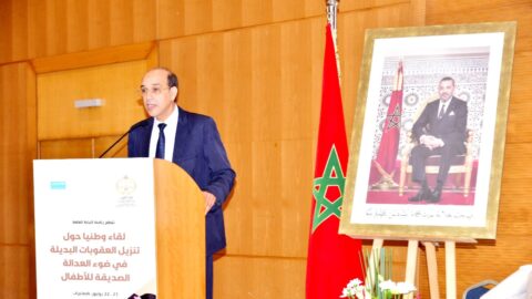 بلاوي: اعتماد العقوبات البديلة للطفل يضمن عدم تطبيعه مع السلوك الإجرامي