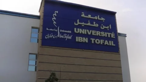 بعد جدل الحفلة الغنائية.. إعفاء رئيس جامعة ابن طفيل بالقنيطرة
